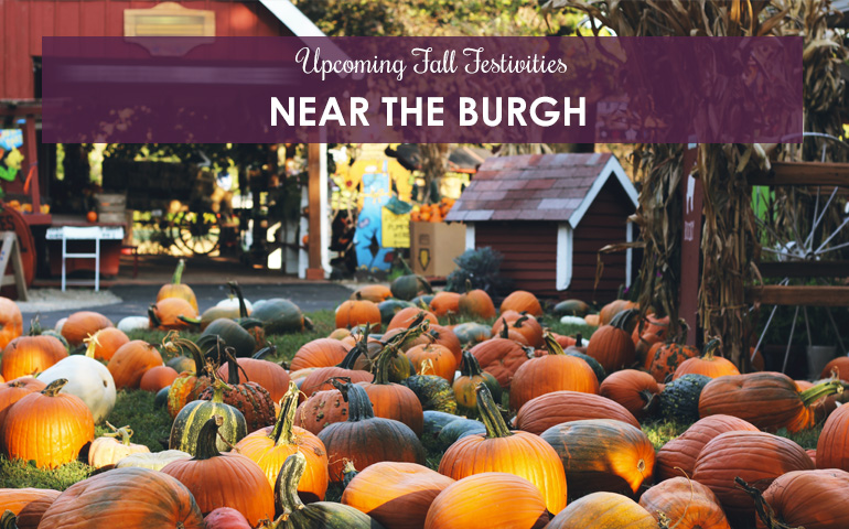 Upcoming Fall Festivities Near The Burgh